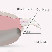 Pet Nail Clipper with Led Light